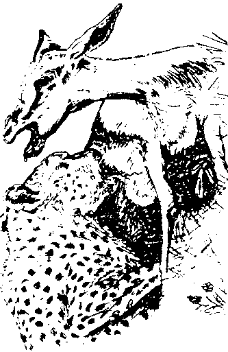 Кен Хэм Эндрю Снеллинг Карл Вилэнд КНИГА ОТВЕТОВ Ответы на 12 наиболее часто задаваемых вопросов о книге бытия, творении и эволюции - i_36.png