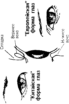 Кен Хэм Эндрю Снеллинг Карл Вилэнд КНИГА ОТВЕТОВ Ответы на 12 наиболее часто задаваемых вопросов о книге бытия, творении и эволюции - i_45.png