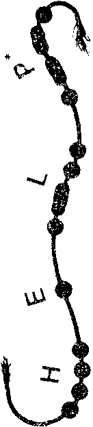 Кен Хэм Эндрю Снеллинг Карл Вилэнд КНИГА ОТВЕТОВ Ответы на 12 наиболее часто задаваемых вопросов о книге бытия, творении и эволюции - i_46.png