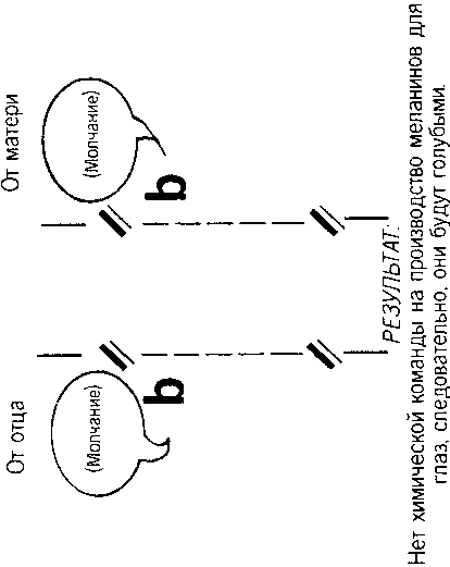 Кен Хэм Эндрю Снеллинг Карл Вилэнд КНИГА ОТВЕТОВ Ответы на 12 наиболее часто задаваемых вопросов о книге бытия, творении и эволюции - i_47_3.png