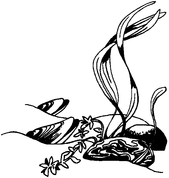 Летящие к северу - pic01.png