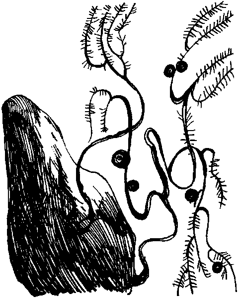 Летящие к северу - pic06.png