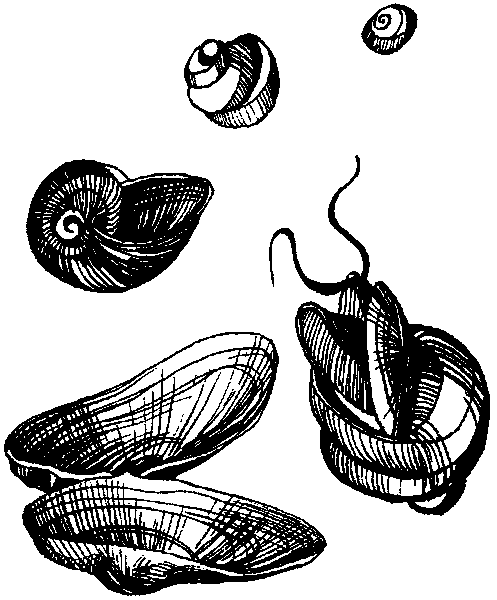 Летящие к северу - pic13.png
