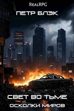 Читать онлайн книгу Свет во тьме. Осколки миров (СИ) автор Блэк Петр Книга Свет во тьме. Осколки миров (СИ)