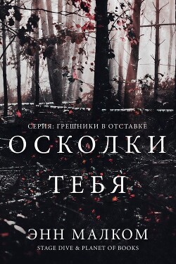 Книга Осколки тебя (ЛП)