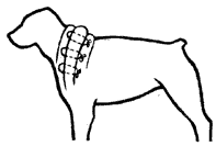 Допинги в собаководстве - i_019.png