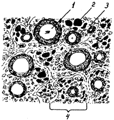 Допинги в собаководстве - i_020.png