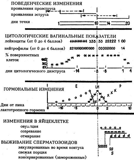 Допинги в собаководстве - i_030.png