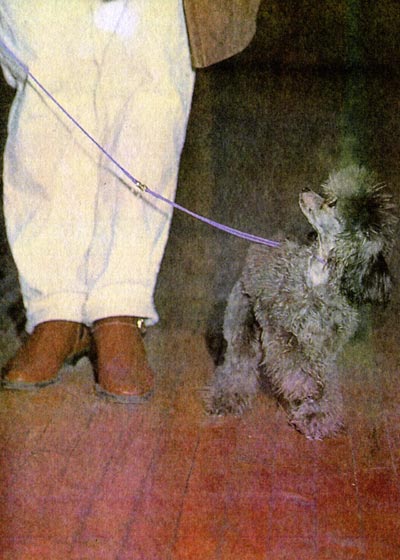 Допинги в собаководстве - i_038.jpg