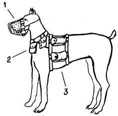Допинги в собаководстве - i_045.png