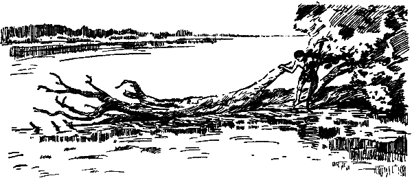 След за кормой (2-е издание) - i_004.png