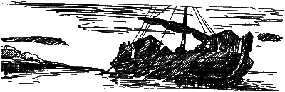 След за кормой (2-е издание) - i_018.png