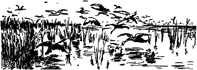 След за кормой (2-е издание) - i_019.png