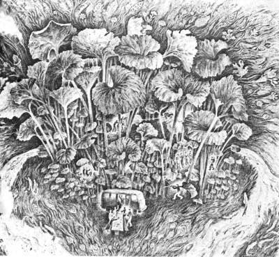 Хлопковое дерево - Ziberov_0001.jpg