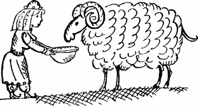 Жизнеописание Сайфа сына царя Зу Язана - i_036.png