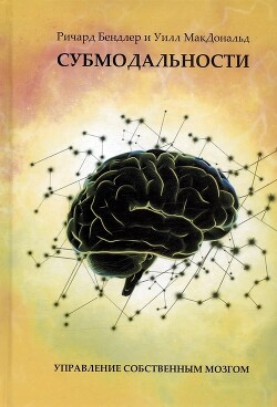 Книга Субмодальности