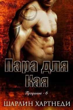 Книга Пара для Кая (СИ)