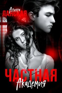 Книга Частная Академия. Осколки (СИ)