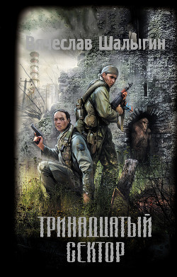Книга Тринадцатый сектор