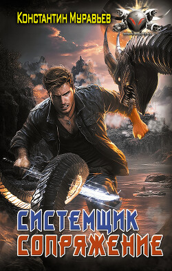 Книга Системщик. Сопряжение