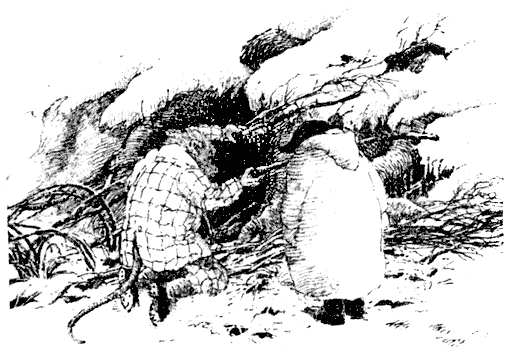 Ивы зимой - i_010.png