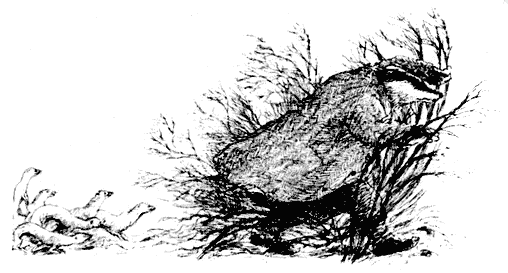 Ивы зимой - i_019.png