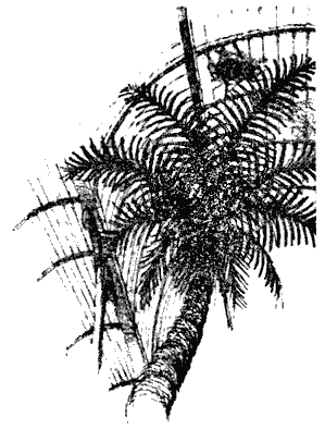 Ивы зимой - i_024.png