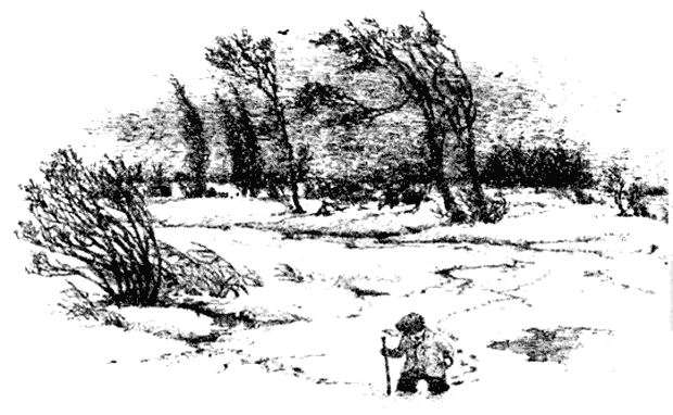 Ивы зимой - i_042.png