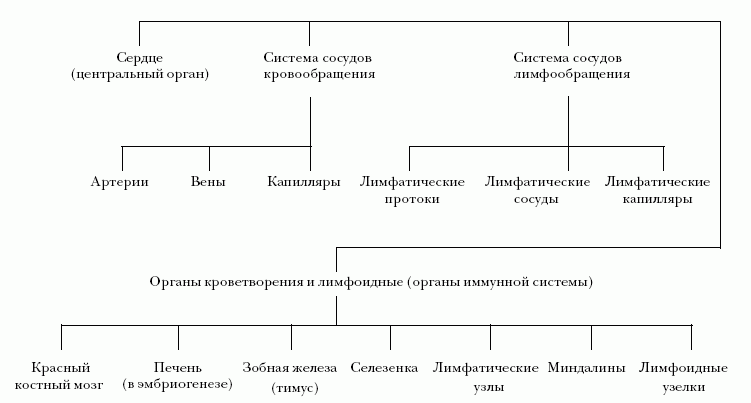 Ветеринарный справочник для владельцев кошек - i_021.png