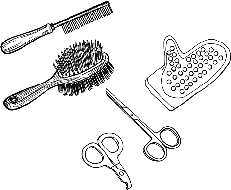 Ветеринарный справочник для владельцев кошек - i_036.png