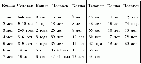 Ветеринарный справочник для владельцев кошек - i_038.png