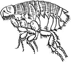 Ветеринарный справочник для владельцев кошек - i_070.png