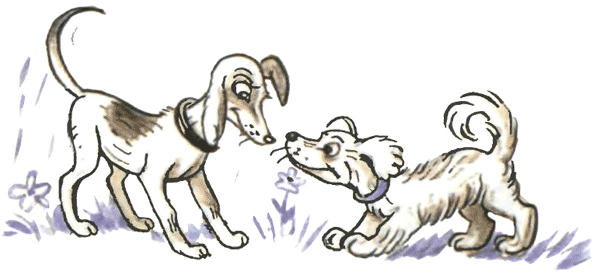 Жила была лягушка (рис. Сутеева) - i_012.png