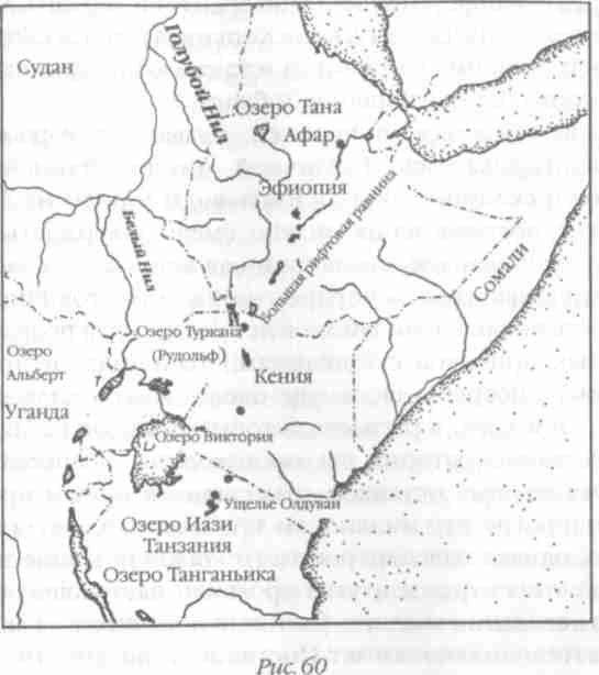 Назад в будущее. Разгадка секретного шифра Книги Бытия - i_065.jpg