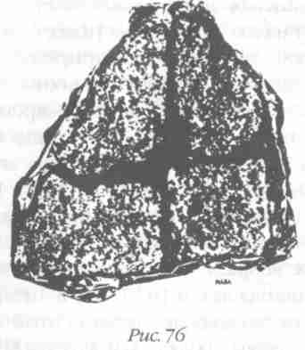 Назад в будущее. Разгадка секретного шифра Книги Бытия - i_081.jpg