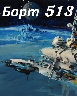 Книга Борт 513 (СИ)