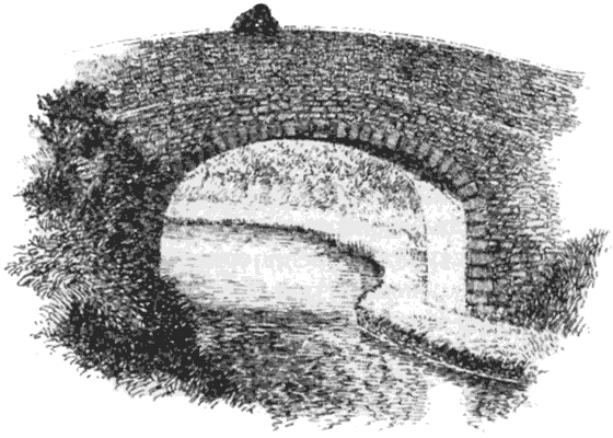 Тоуд-триумфатор - i_008.png