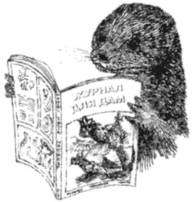 Тоуд-триумфатор - i_020.png