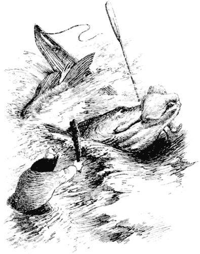 Тоуд-триумфатор - i_045.png