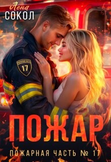 Книга Пожар (СИ)