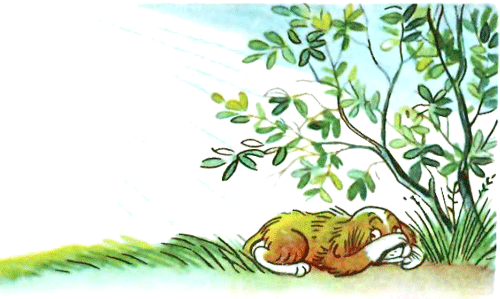 Кто сказал «Мяу»? (рис. Сутеева, изд.1) - i_020.png