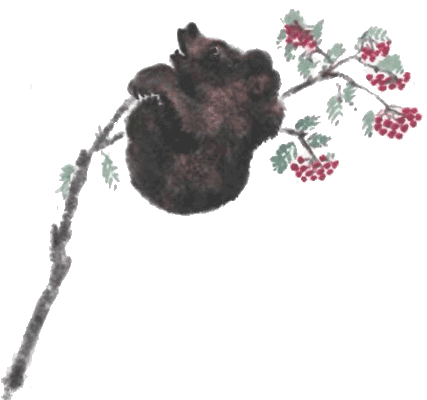 Тюпа, Томка и сорока - i_024.png