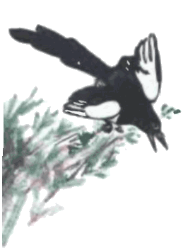 Тюпа, Томка и сорока - i_028.png