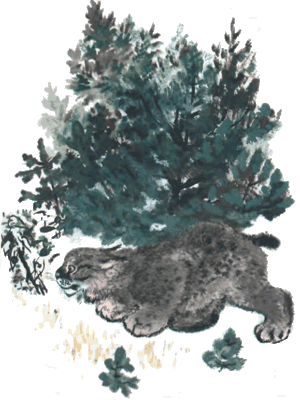 Тюпа, Томка и сорока - i_030.png