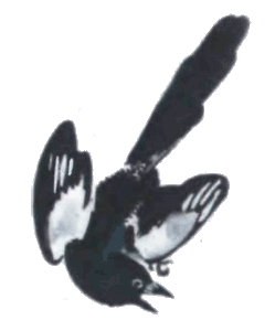 Тюпа, Томка и сорока - i_032.png