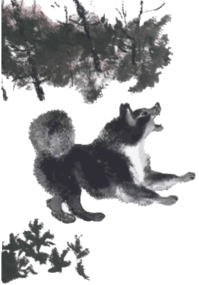 Тюпа, Томка и сорока - i_033.png