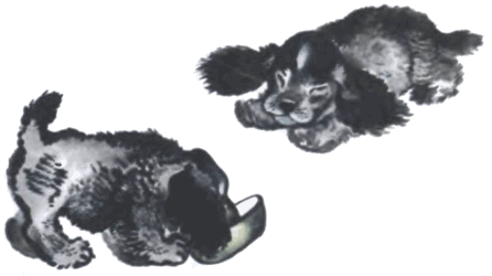 Тюпа, Томка и сорока - i_039.png