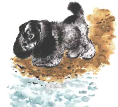 Тюпа, Томка и сорока - i_042.png