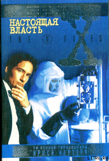 Книга Файл №123. Настоящая власть