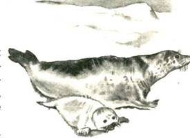 Как Алёшка жил на Севере - i_002.jpg